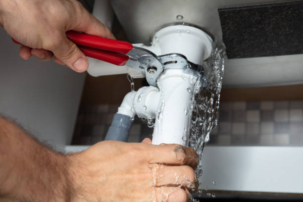 Best 24/7 water damage repair  in Roodhouse, IL