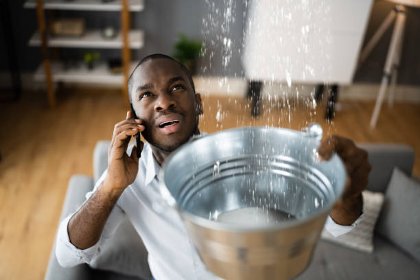 Best Carpet water damage restoration  in Roodhouse, IL