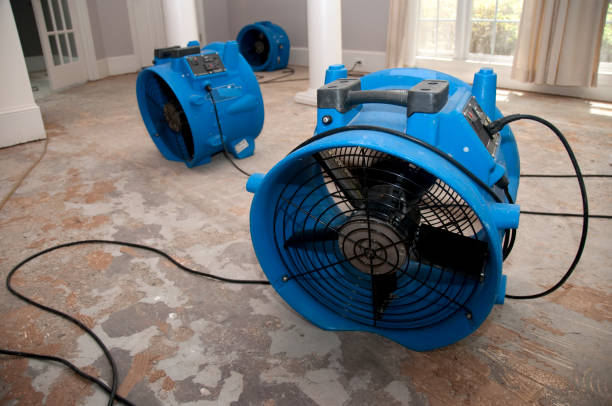 Best Emergency water damage restoration  in Roodhouse, IL