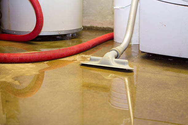 Best Water damage contractors near me  in Roodhouse, IL