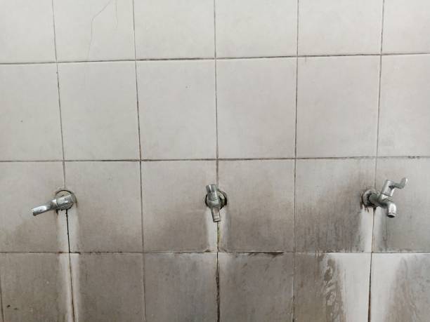 Best Sewage cleanup and water damage restoration  in Roodhouse, IL