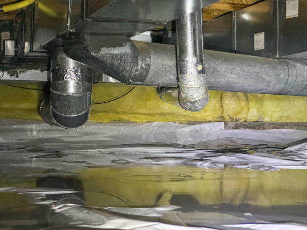 Best Fire Damage Restoration  in Roodhouse, IL