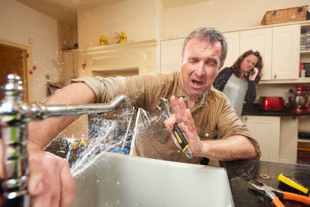 Best Flood damage cleanup  in Roodhouse, IL